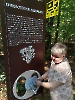 Laski, spacer ścieżką edukacyjną ''Dotknąć Kampinoskiej Natury''. Pani Anna ogląda model chrobotka kieliszkowatego 3D.