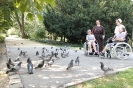 Pani Agnieszka, s. Pia, Pani Anna i Pani Joanna oglądają i słuchają spacerujące gołębie w Ogrodzie Saskim